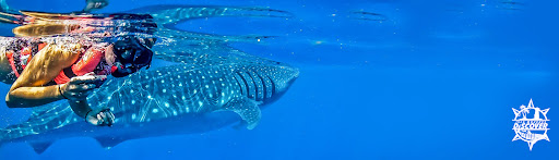 Isla Mujeres Discover