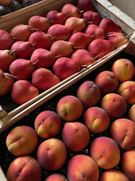 Photo n°5 de Le local à L'Escarène (Épicerie)