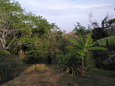 Photos of Nature Lodge Finca Los Caballos