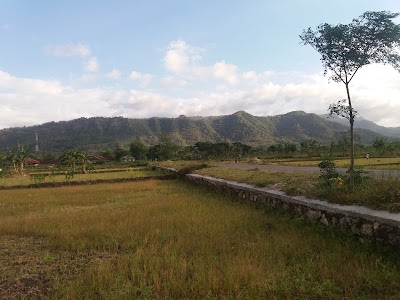Photos of Lapangan Ngerangan Bayat