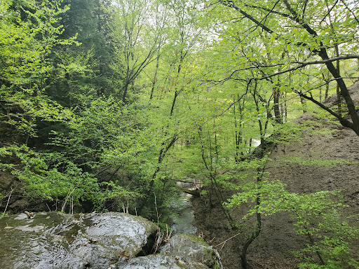Eighteenmile Creek Conservation Park - Thumbnail