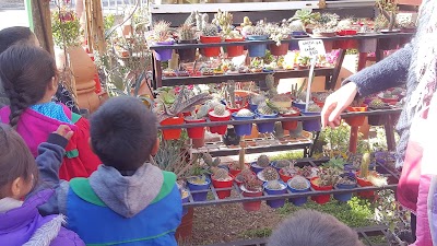 Photos of Vivero El Milagro