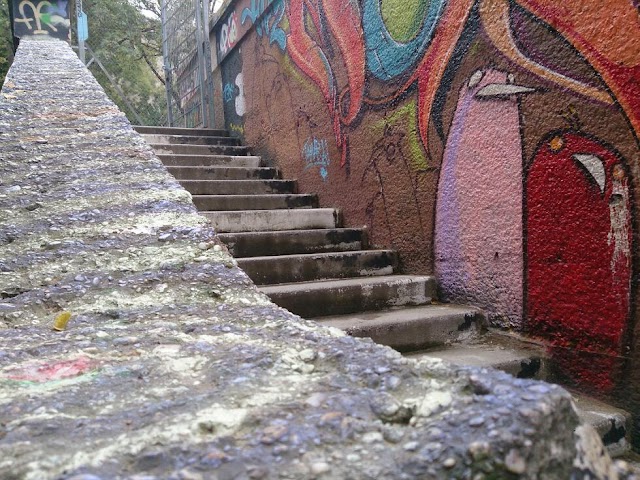 Arne-Carlsson Park