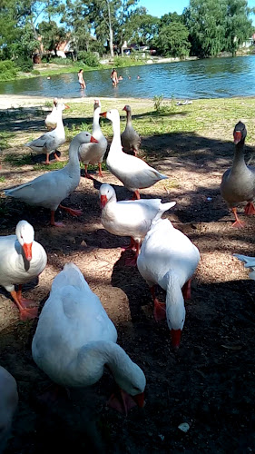 Opiniones de BEWAY MINI CAMPERS en Ciudad del Plata - Camping