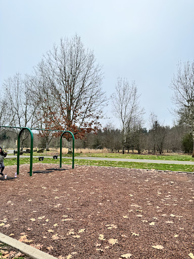 Pioneer Park playground Logo
