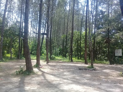 Photos of TWA Pantai Panjang dan Pulau Baai