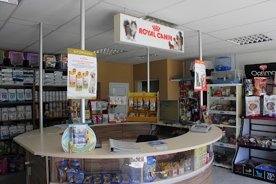 Photos of 101 Lyubimtsi
