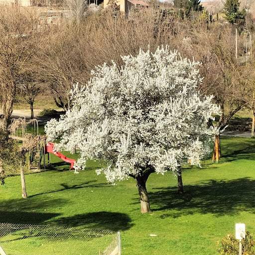 Pintor Rosales Park - Thumbnail