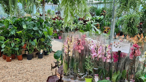 Savin Nurseries - Visual