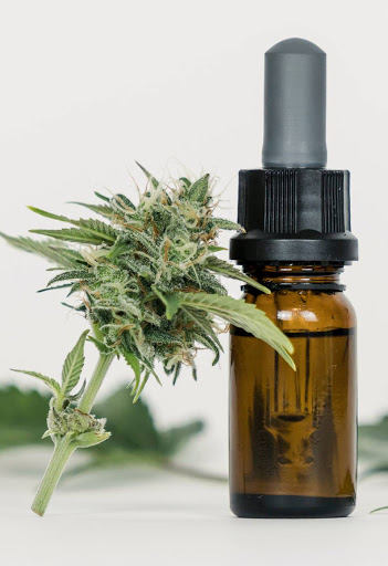 Boutique CBD Mosticos - Thumbnail