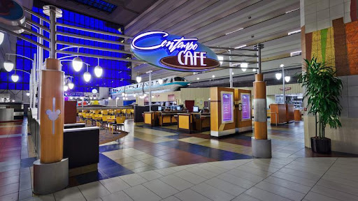 Contempo Café - Visual