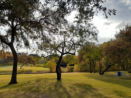 Tree Line Park - Visual