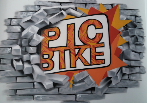 Pic Bike - Visual