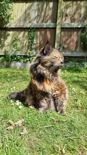 Summerleaze Pet Crematorium - Thumbnail