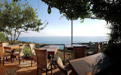 Photos of Hotel Torre Bennistra