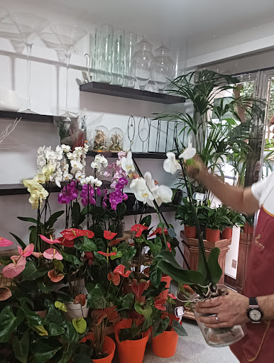 San Lorenzo Florist - Thumbnail