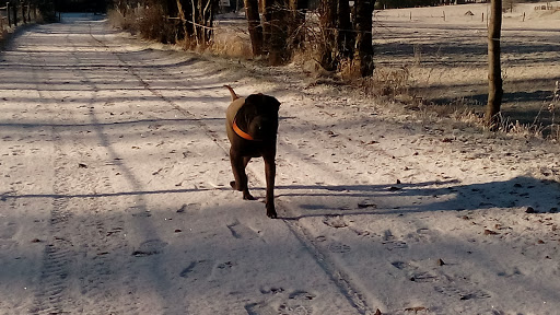 Garage Bussang Poids Lourds