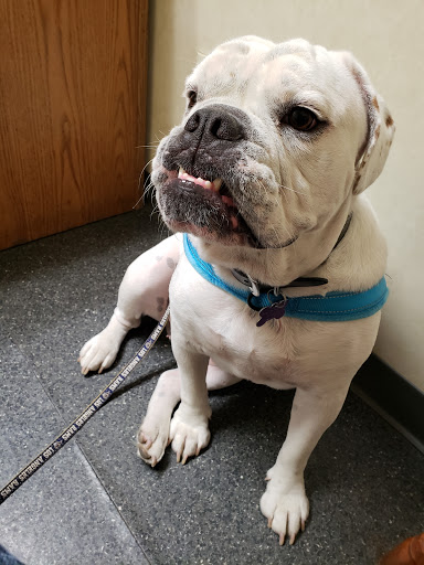 Brannan Veterinary Clinic - Thumbnail