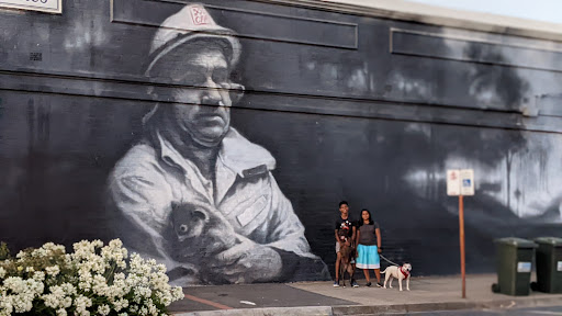 St Arnaud Wall Art trail - Not all Heroes wear capes