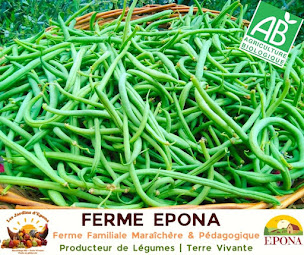 Photo n°24 de Ferme EPONA - Vente de légumes et Activités pédagogiques à Châtonnay (Ferme)
