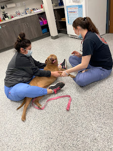 Photo of Swaim Veterinary Clinic Del propietario