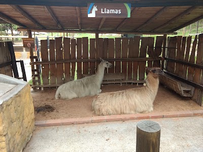 Photos of Mundo Aventura