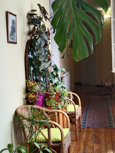Hostal Bayón - Visual