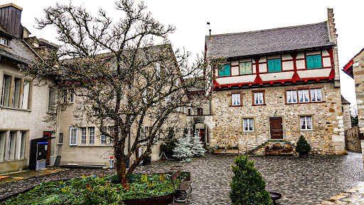 Laufen Castle at the Rheinfalls - Thumbnail