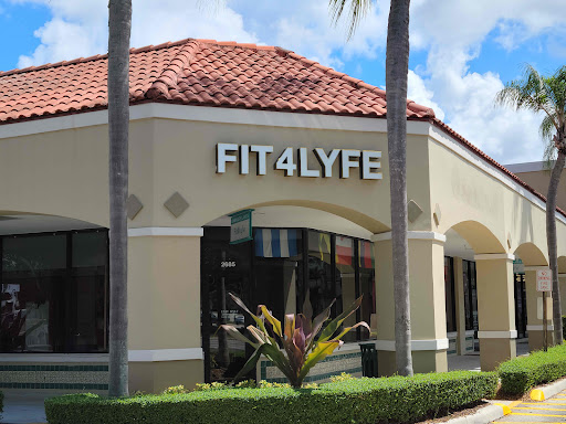 Fit4Lyfe - Visual