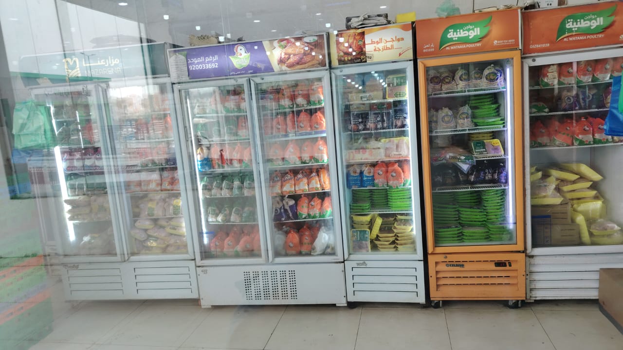 محل دجاج مبرد وتقطيع وتنضيف - صورة 2