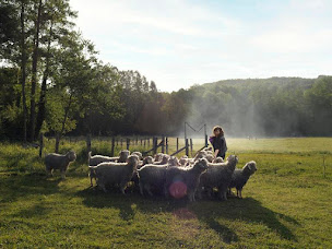 Photo n°6 de Ferme de l'Aritoire à La Madeleine-Bouvet (Ferme à visiter)