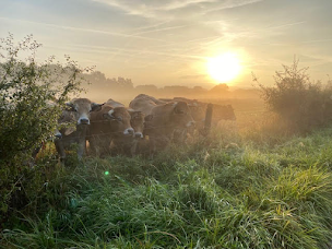 Photo n°2 de Ferme des Vanneaux à L'Isle-Adam (Ferme d'élevage)