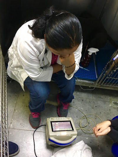 Photos of Home Veterinary Animal Hospital