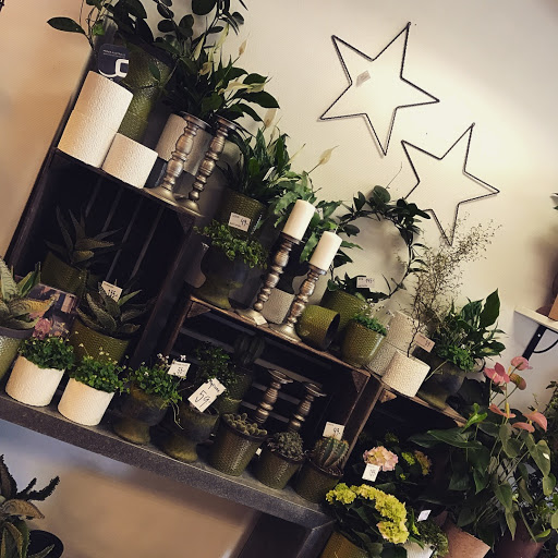 Blommor o Blad