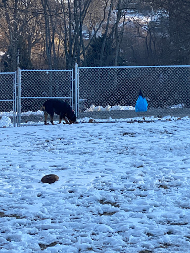 West Mifflin Dog Park - Thumbnail