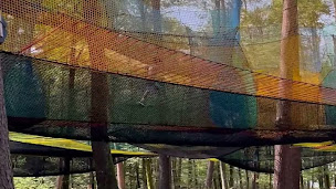 Photo n°2 de La Forêt des Défis à Bitche (Snack)