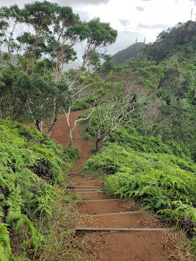 Wiliwilinui Hiking Trail