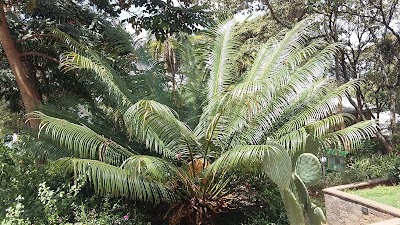 Photos of Botanical Garden