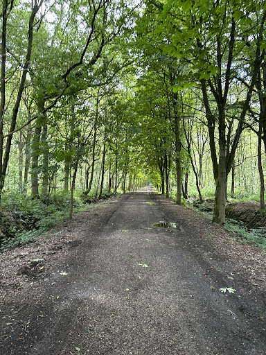 Greenspot Munsterbos - Thumbnail