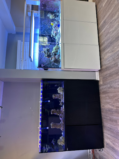 SharkBait LLC - Visual