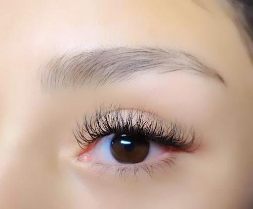 Pestañas, Estudio Sister Lash DL