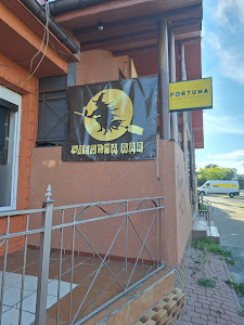 WIEDŹMA BAR photo