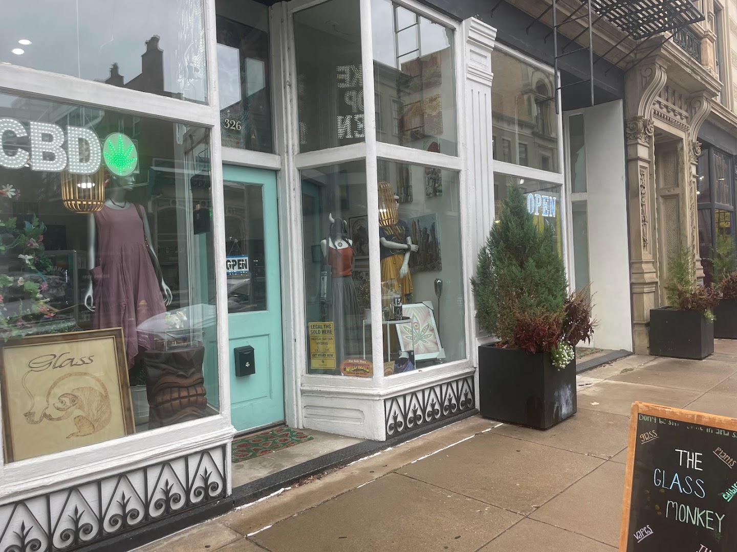 The Glass Monkey photo 1