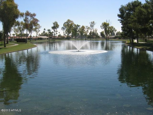 Cactus Mountain Properties LLC Gallery - United States