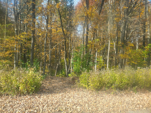 Cowan Lake Disc Golf Course - Thumbnail