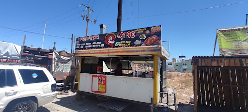 Rocker Pollos - Visual
