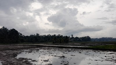 Photos of Osu Uyana