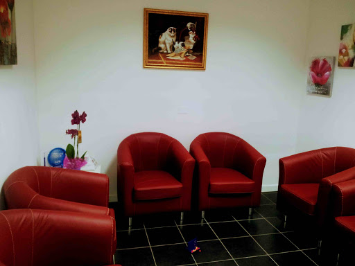 STUDIO DENTISTICO associato dr. Muggeri- dr. Ansuini - Thumbnail