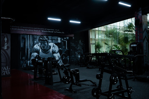 World Gym Playa del Carmen