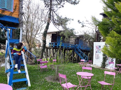 Photos of Woodyville Tree Houses and Cowboy City